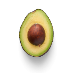 Mockup - 2025-12-15T155830.081